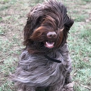 Meet your Posher, Debbie